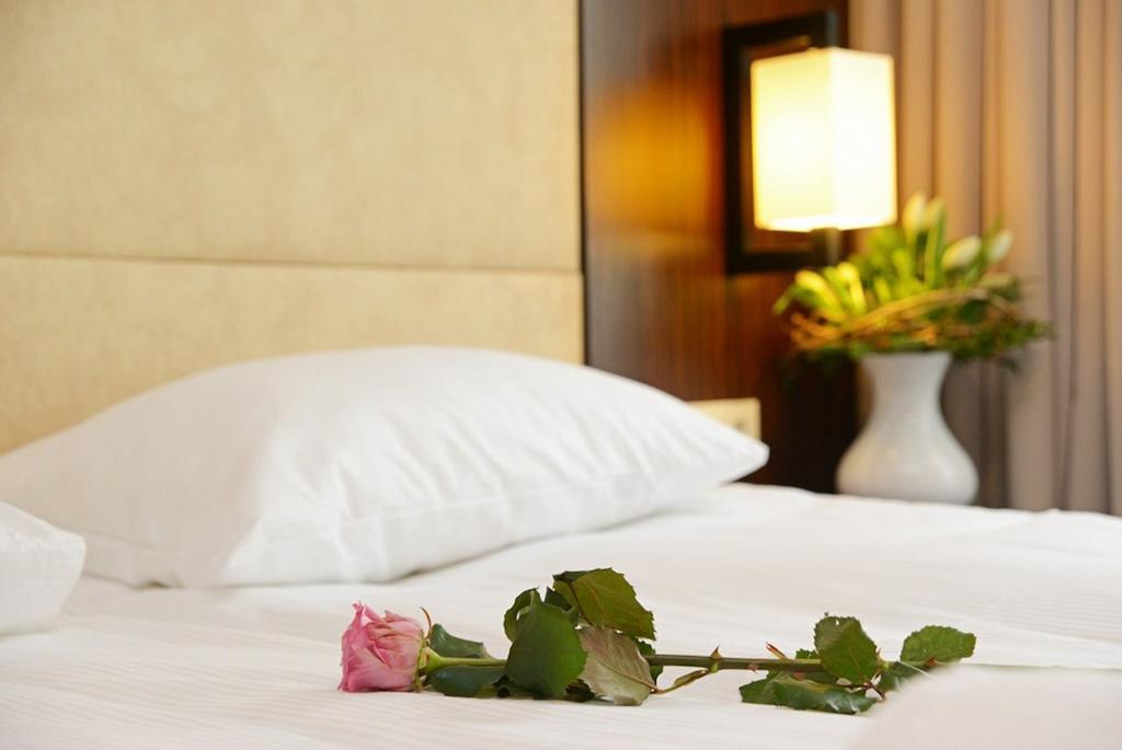 Hotel Fryderyk Nysa Oda fotoğraf